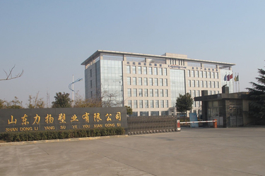 Китай Shandong Liyang Plastic Molding Co., Ltd.
